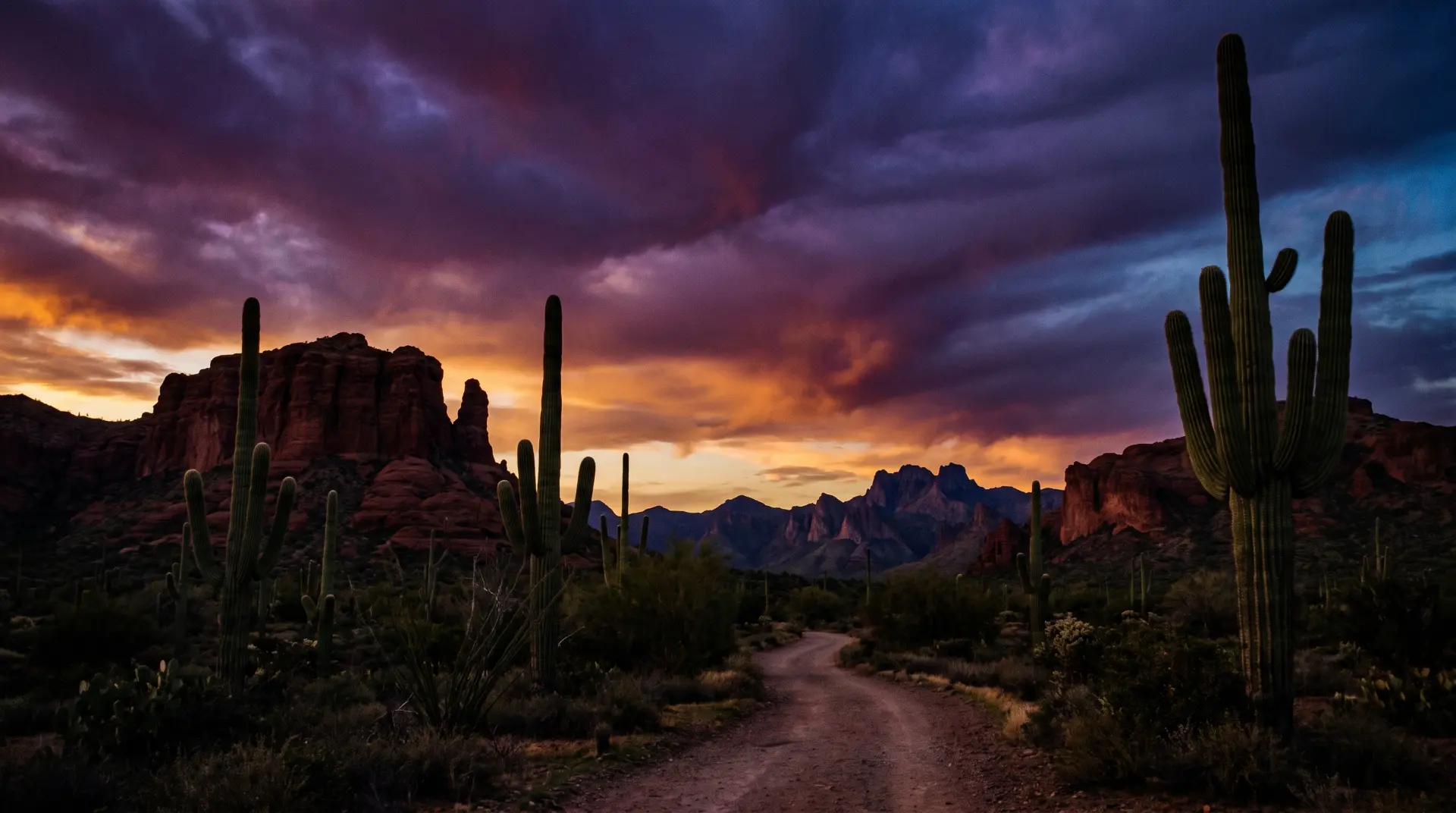 FIGHT WEEKEND — ARIZONA — Arizona